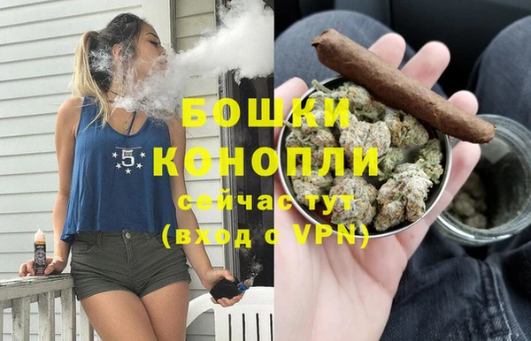 спиды Ельня