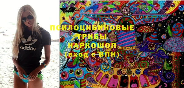 бошки Медвежьегорск